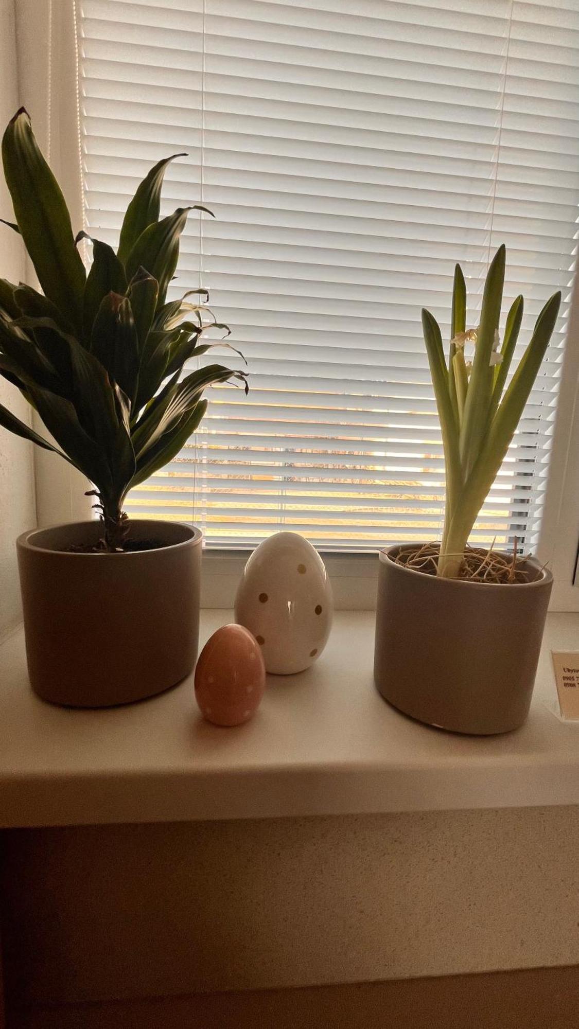 Rezidencia Pod Zamkom Bojnice Apartman Luna Dış mekan fotoğraf